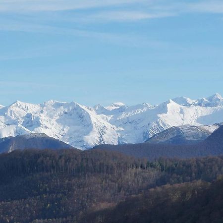Joli Gite En Ariege Avec Vue Buzan エクステリア 写真